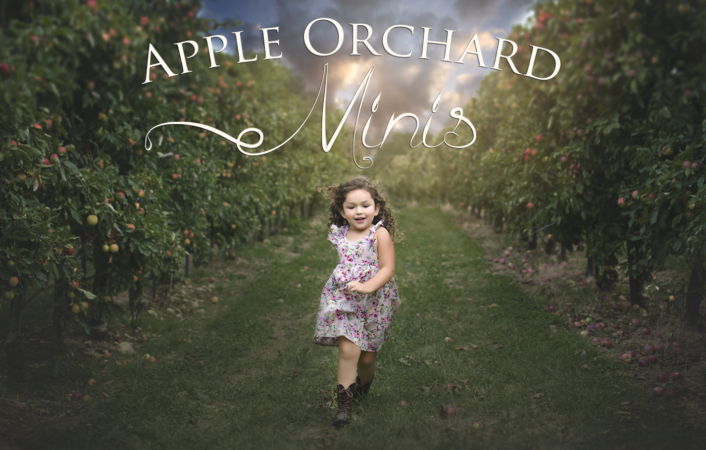 appleorchardminis_web